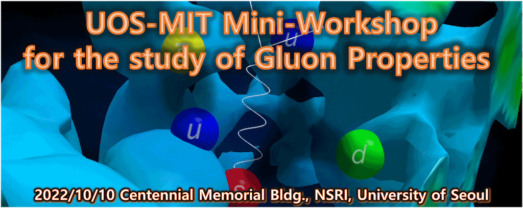 UOS-MIT mini workshop on gluon study